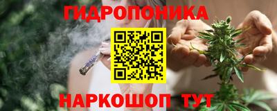 сатива Краснокаменск
